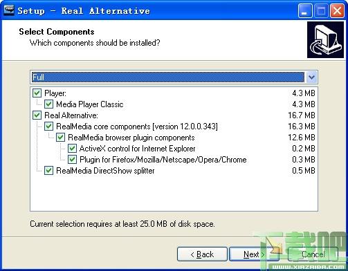 Real Alternative,Real解码器