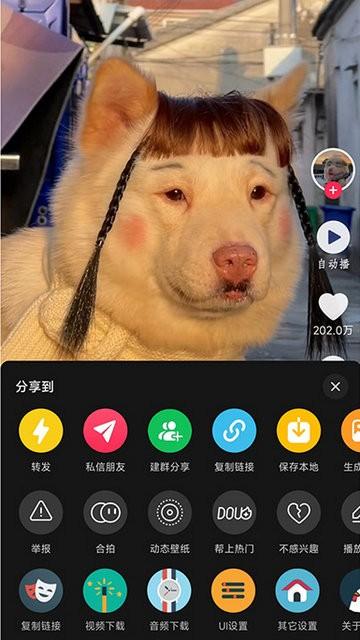 逗音小能手app下载,视频处理app,剪辑app,逗音小能手